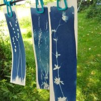 cyanotype