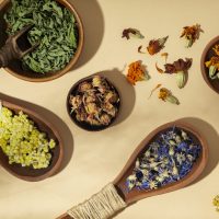 wooden-spoons-with-plants-flat-lay